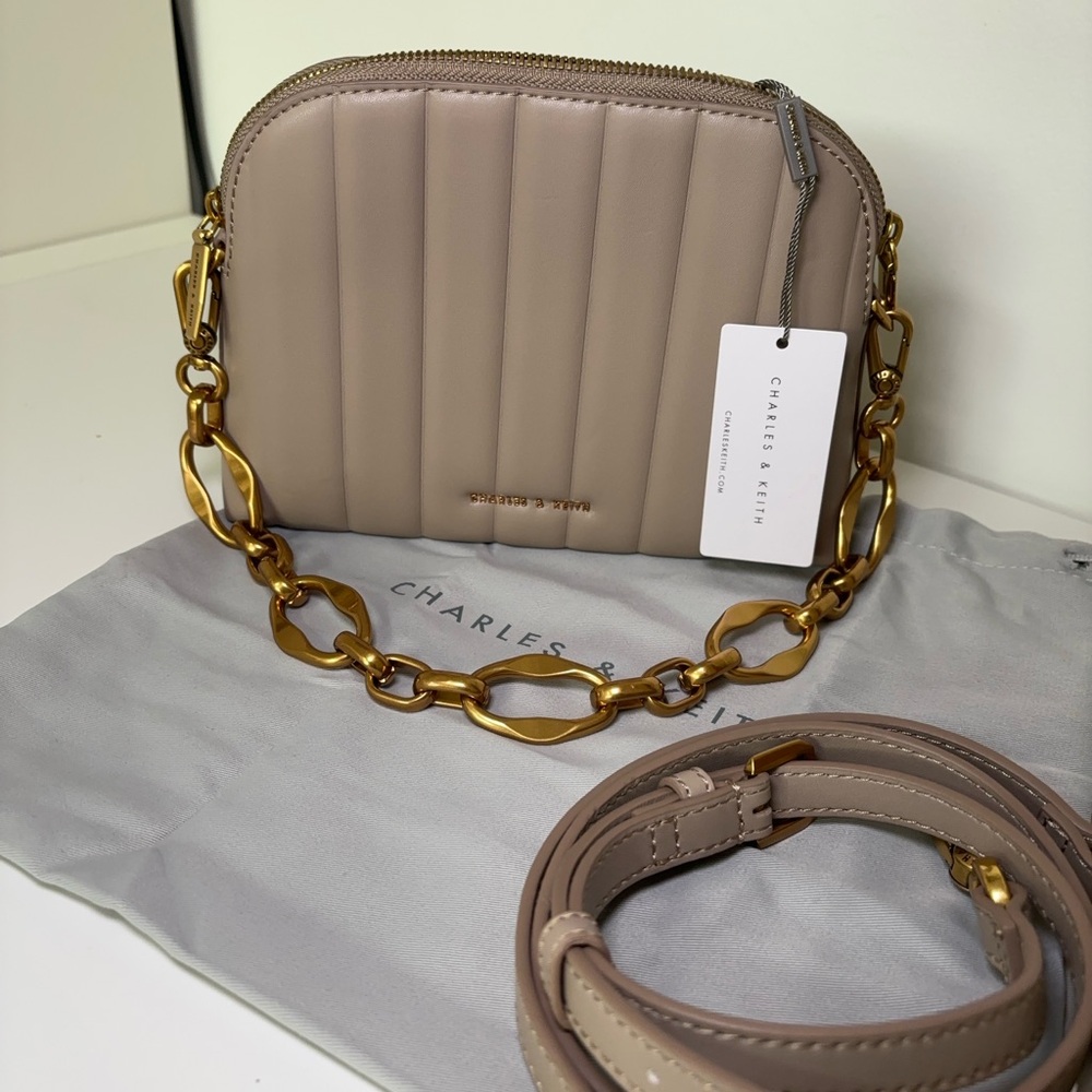 *NEW* Charles & Keith Saddle Bag